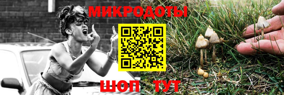 Псилоцибиновые грибы Psilocybe  Вход с VPN  Минусинск 