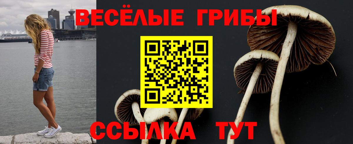 Галлюциногенные грибы мухоморы Минусинск